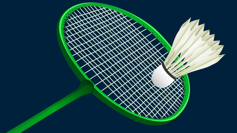 Badminton-Ausrüstung: Vom Federball bis zum Schläger 1 Badminton-Ausrüstung