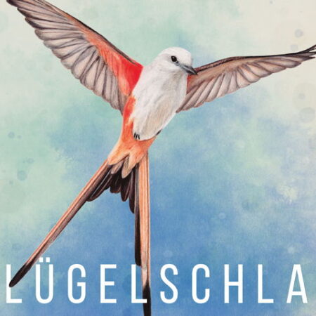 Flügelschlag