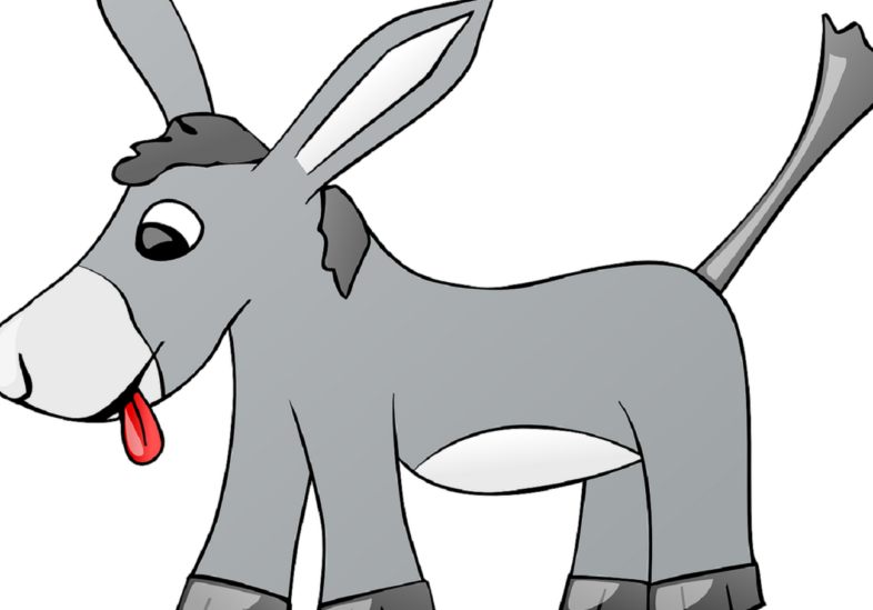 Double Donkey