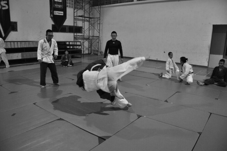 judo 333779 1920