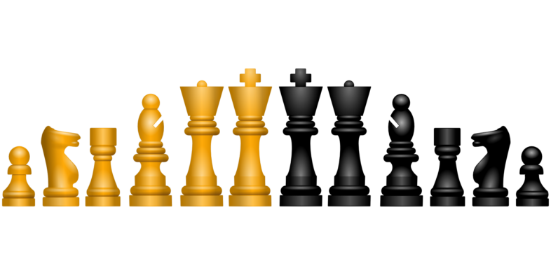 Der König beim Schach 1 Schach König